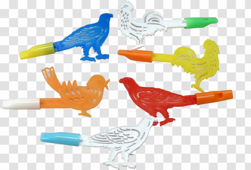 Feather Parrot Beak Plastic Animal Transparent PNG