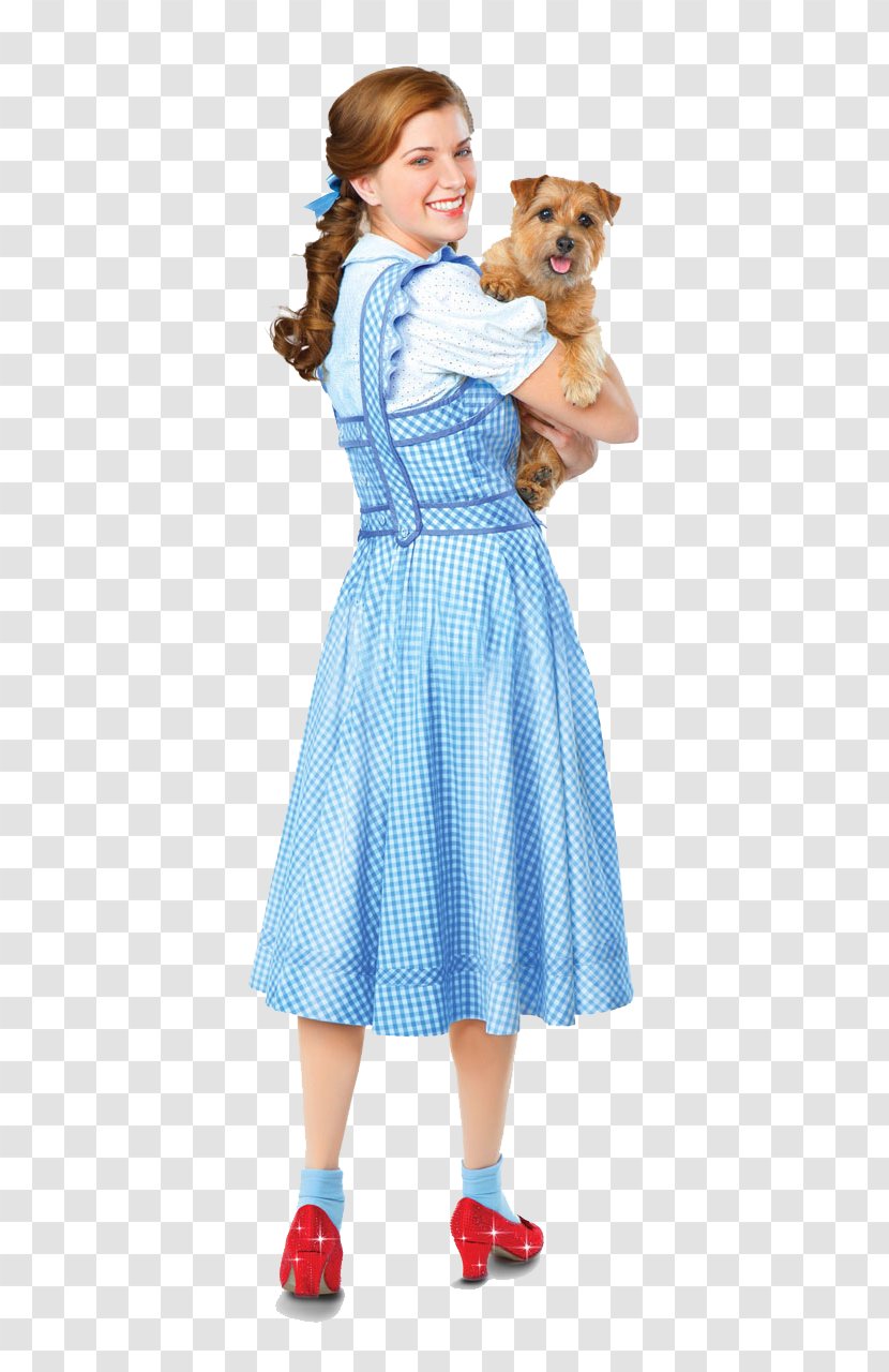 The Wizard Of Oz Dorothy Gale Canadian Broadcasting Corporation LaSalle Over Rainbow - Watercolor Transparent PNG