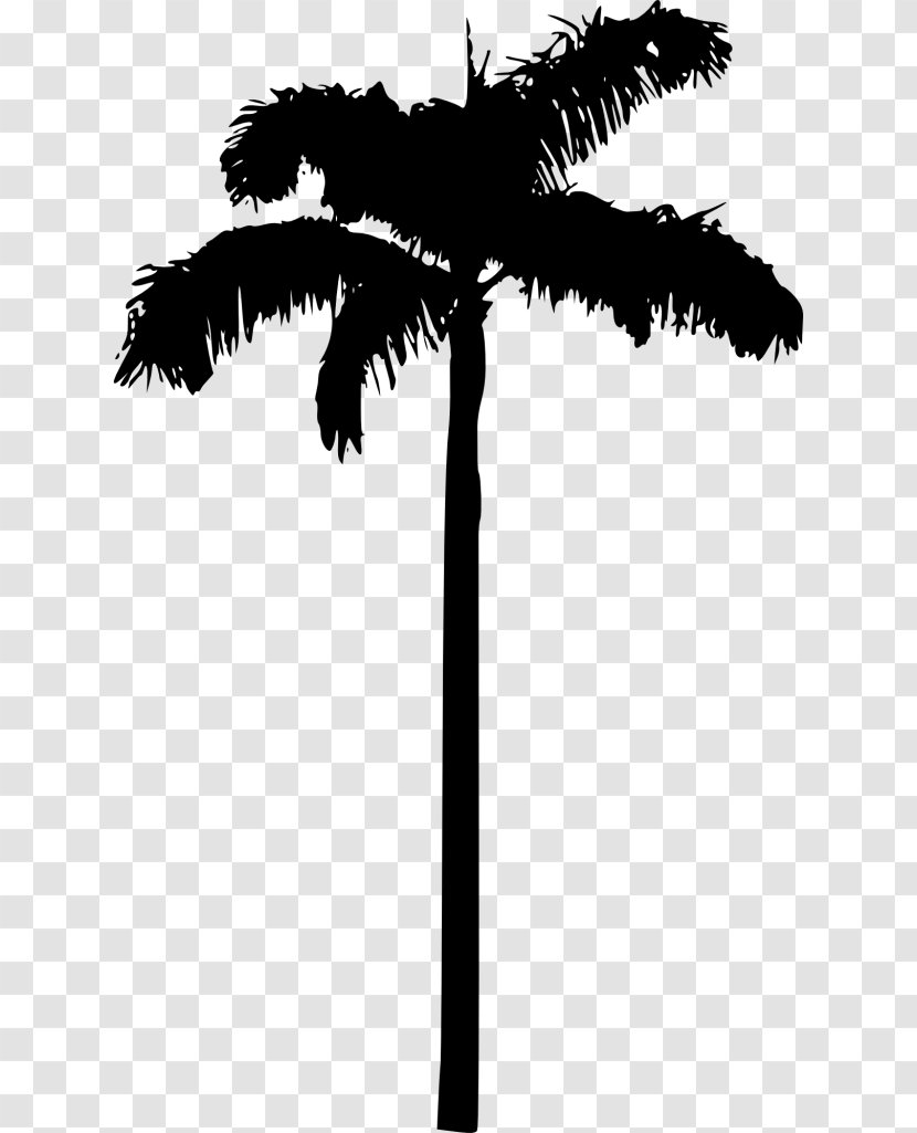 Clip Art Palm Trees Transparency Silhouette - Blackandwhite - Sunday Transparent PNG