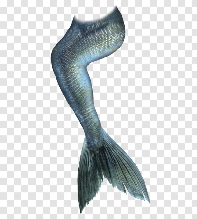 Mermaiding Tail Drawing - Art - Fish Transparent PNG