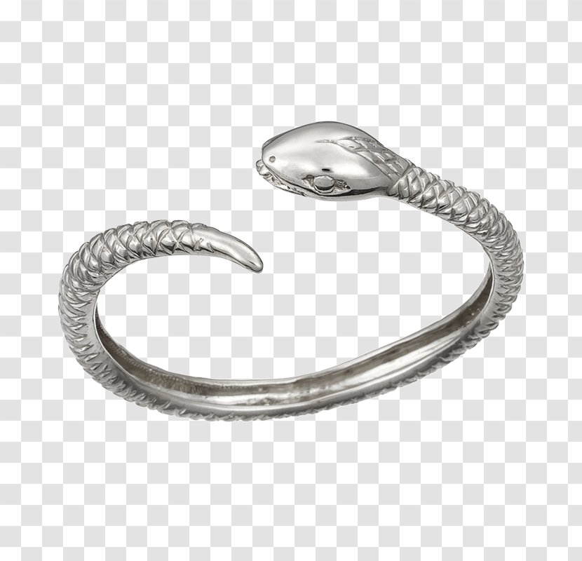 Jewellery Ring Bracelet Bangle Silver - Body - Ouroboros Rings Transparent PNG