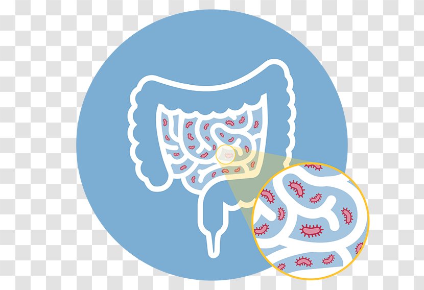 Elemental Diet Dieting Small Intestinal Bacterial Overgrowth Crohn's Disease - Watercolor Transparent PNG