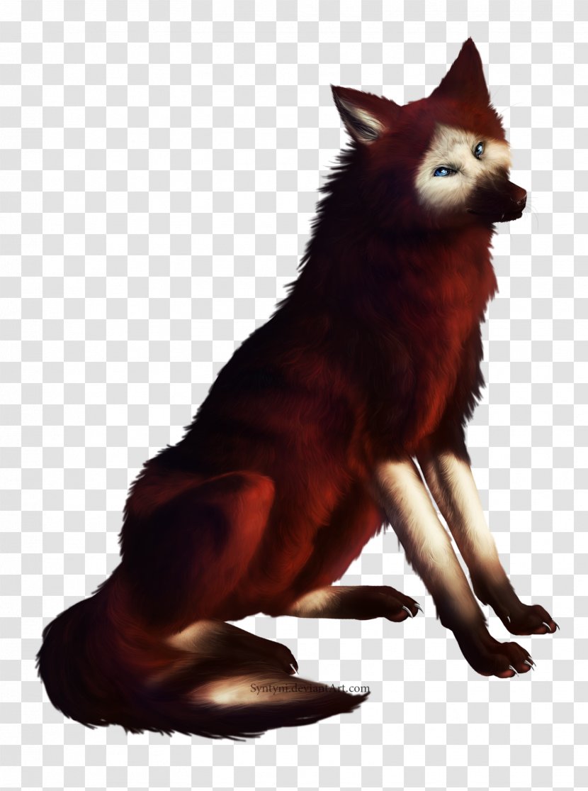 Red Fox Dog Breed Dhole Syntyni - Like Mammal Transparent PNG