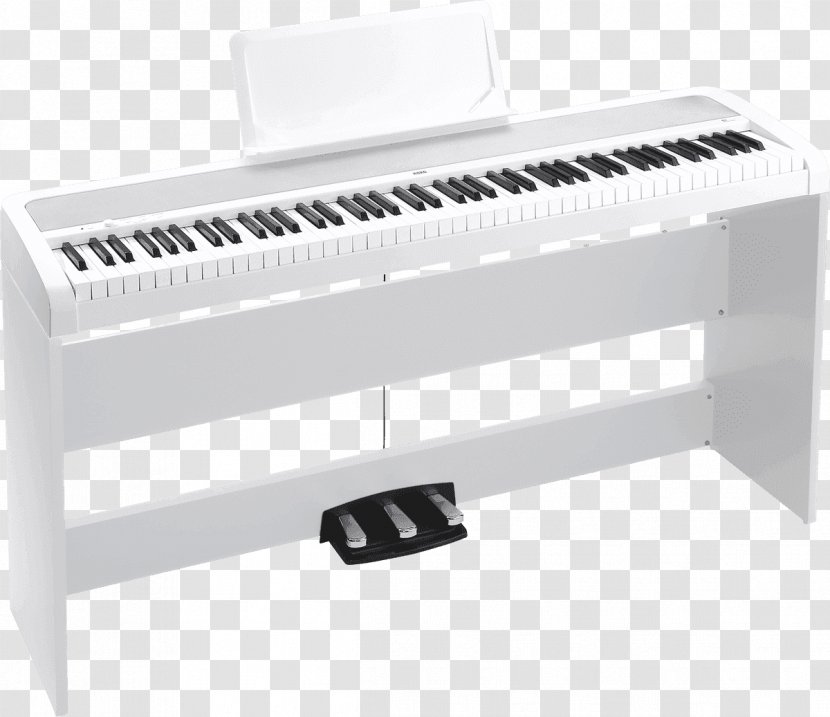 KORG B1SP Digital Piano Keyboard - Cartoon Transparent PNG
