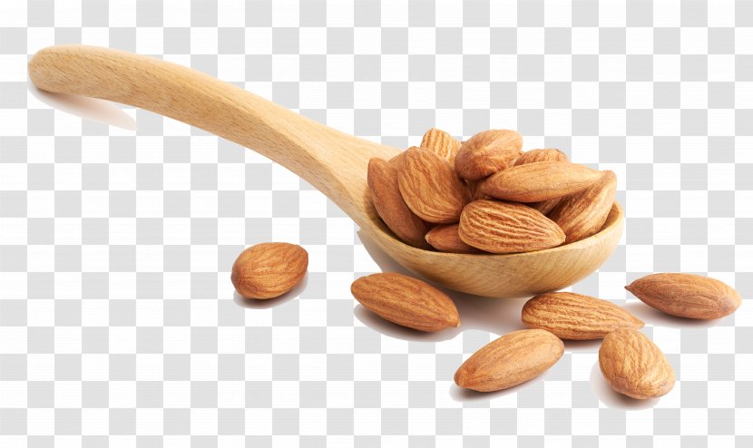 Almond Nut Stock Photography Illustration - Ingredient - Almond-kind Transparent PNG