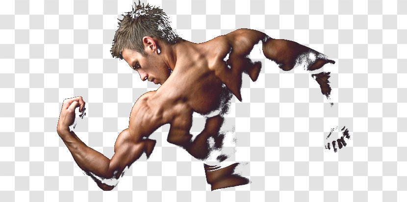 Dietary Supplement Bodybuilding Anabolic Steroid Muscle Exercise - Silhouette - Bodybuilder Transparent PNG