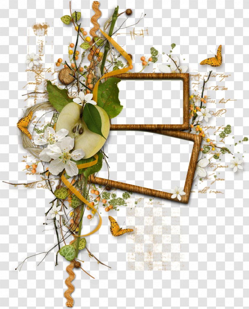 Picture Frames Film Frame Photography - Flower - Marco Transparent PNG