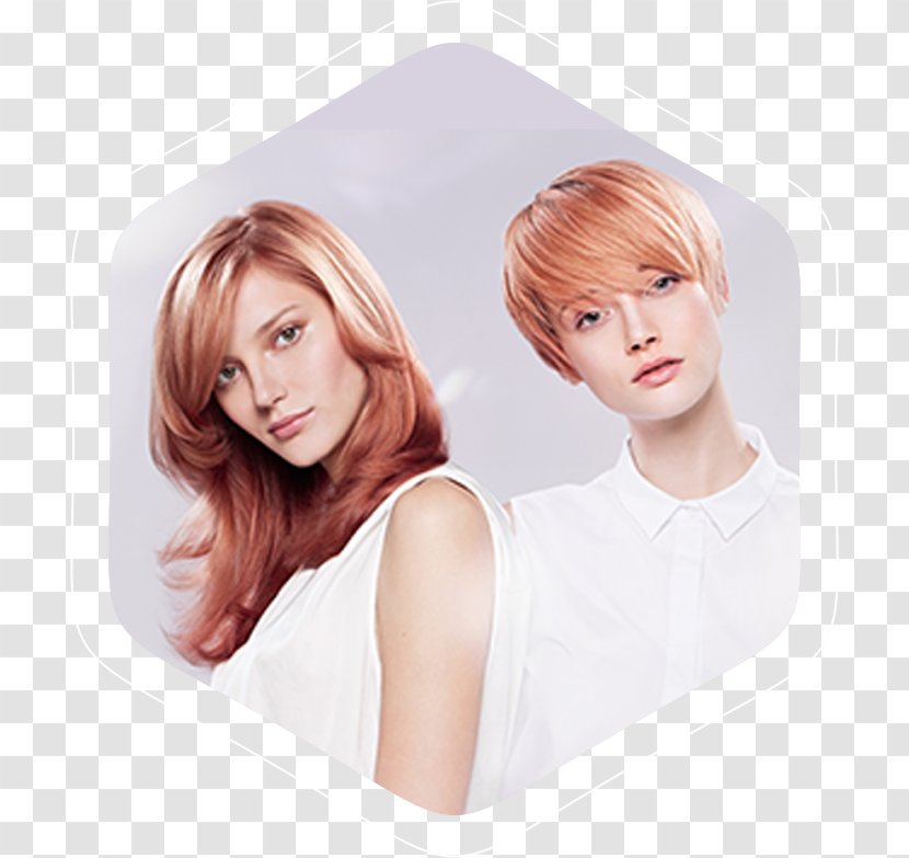 Hairstyle Hair Coloring Human Color Wella Beauty Parlour - Certificate Transparent PNG