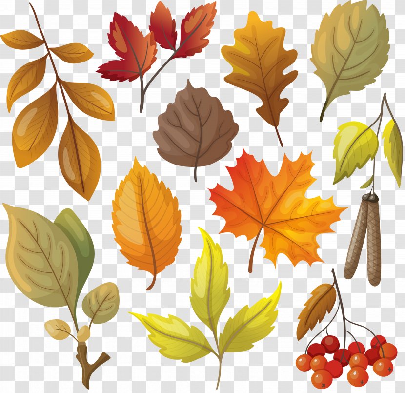 Autumn Leaf Color Yellow - Maple - Withered Leaves Transparent PNG