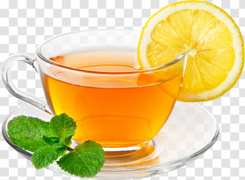 Green Tea Coffee Iced Lemon - Water - Transparent Image Transparent PNG