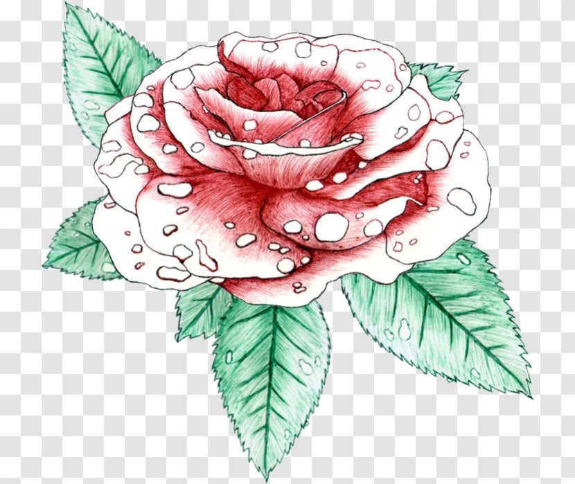 Floral Design Cabbage Rose Garden Roses Cut Flowers - Flora - Flower Transparent PNG