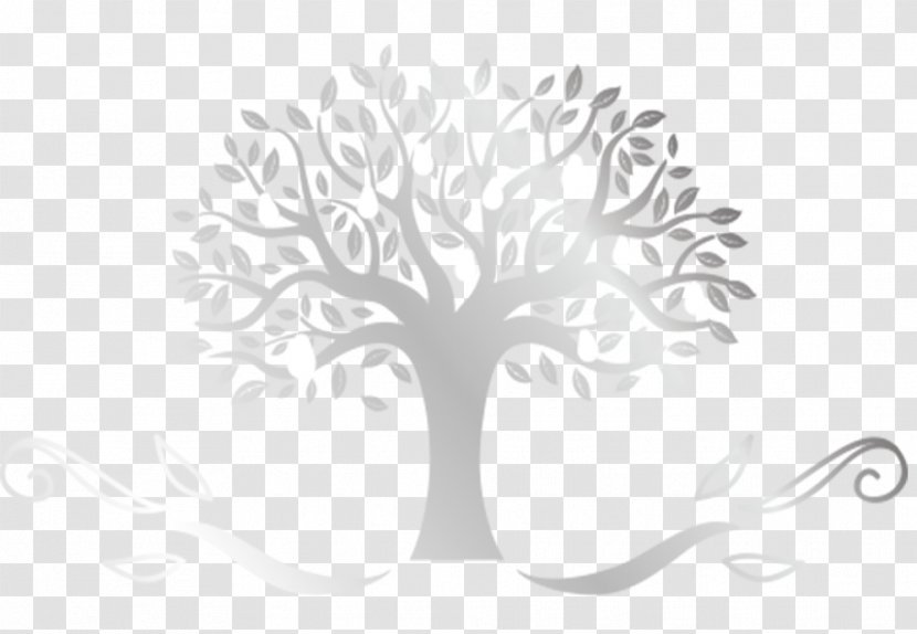 Coderoot INFOTECH Rosshill Road Royal Tunbridge Wells - Balaji Nagar - Tree With Branches And Roots Transparent PNG