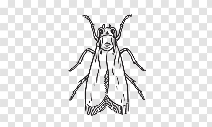 Clip Art Insect Line Cartoon Sketch - Costume Design - Clothes Moth Eggs Transparent PNG