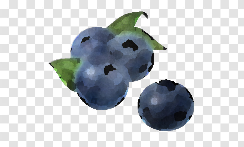 Berry Blueberry Bilberry Fruit Plant Transparent PNG