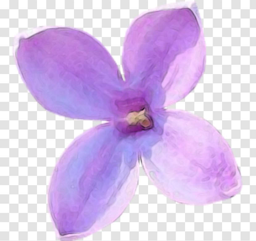 Download Lilac Clip Art - Lavender - Tang Hua Transparent PNG