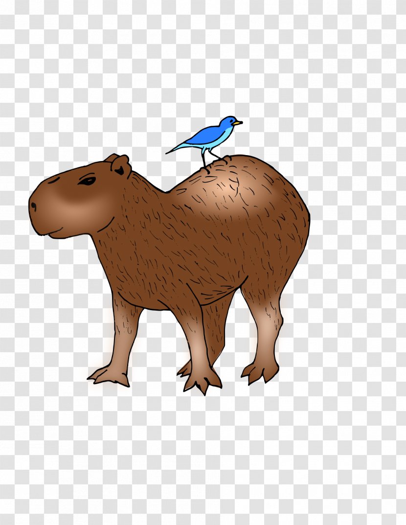 Capybara Hamster Rodent Guinea Pig Clip Art - Pet - Carnivoran Transparent PNG