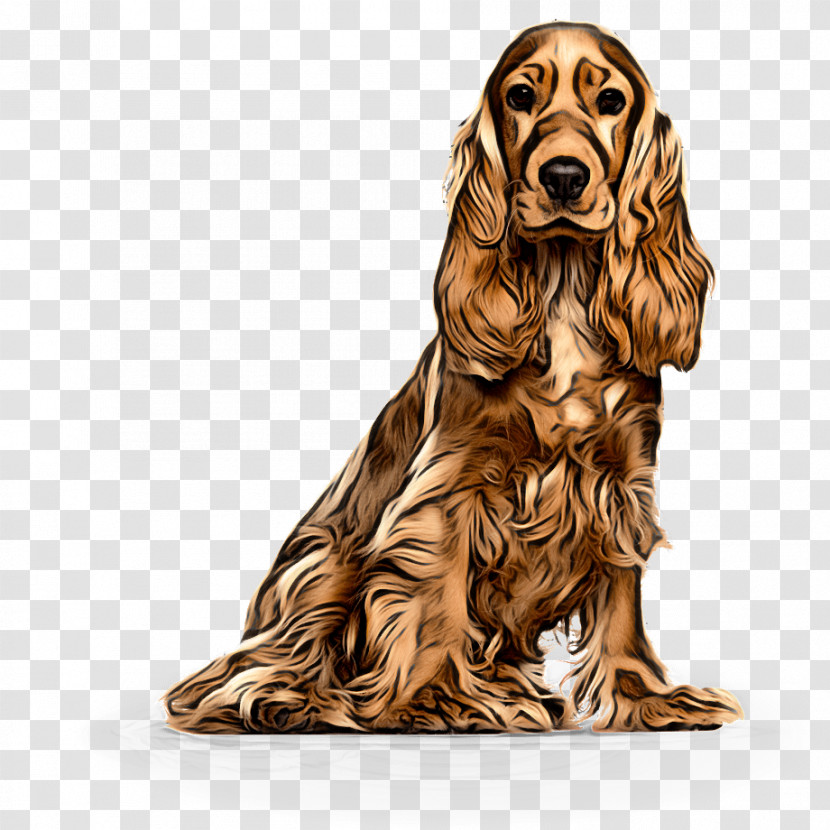 Dog Cocker Spaniel Irish Setter English Cocker Spaniel Spaniel Transparent PNG