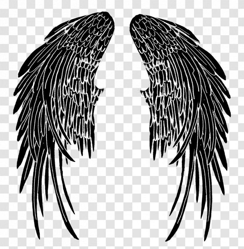 Drawing Fallen Angel Image Transparent PNG