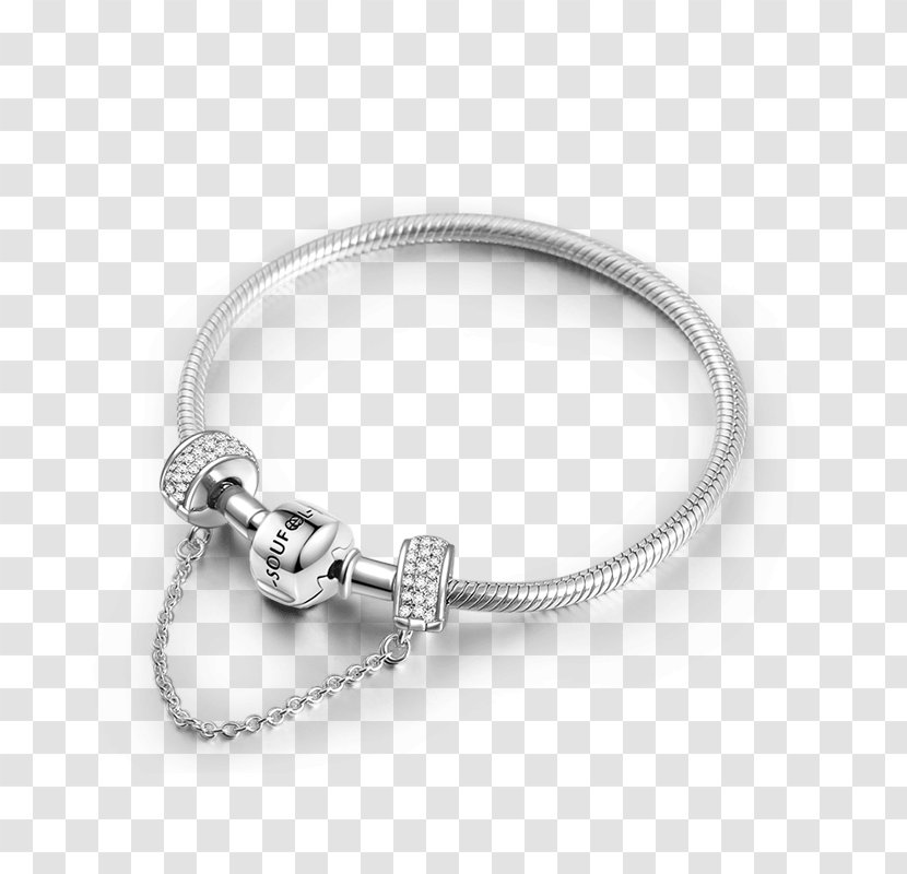 Charm Bracelet Earring Silver Chain Transparent PNG
