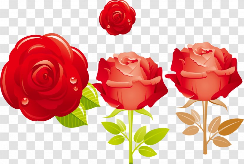 Flower Valentine's Day Rose Clip Art - Png Vector Material Transparent PNG