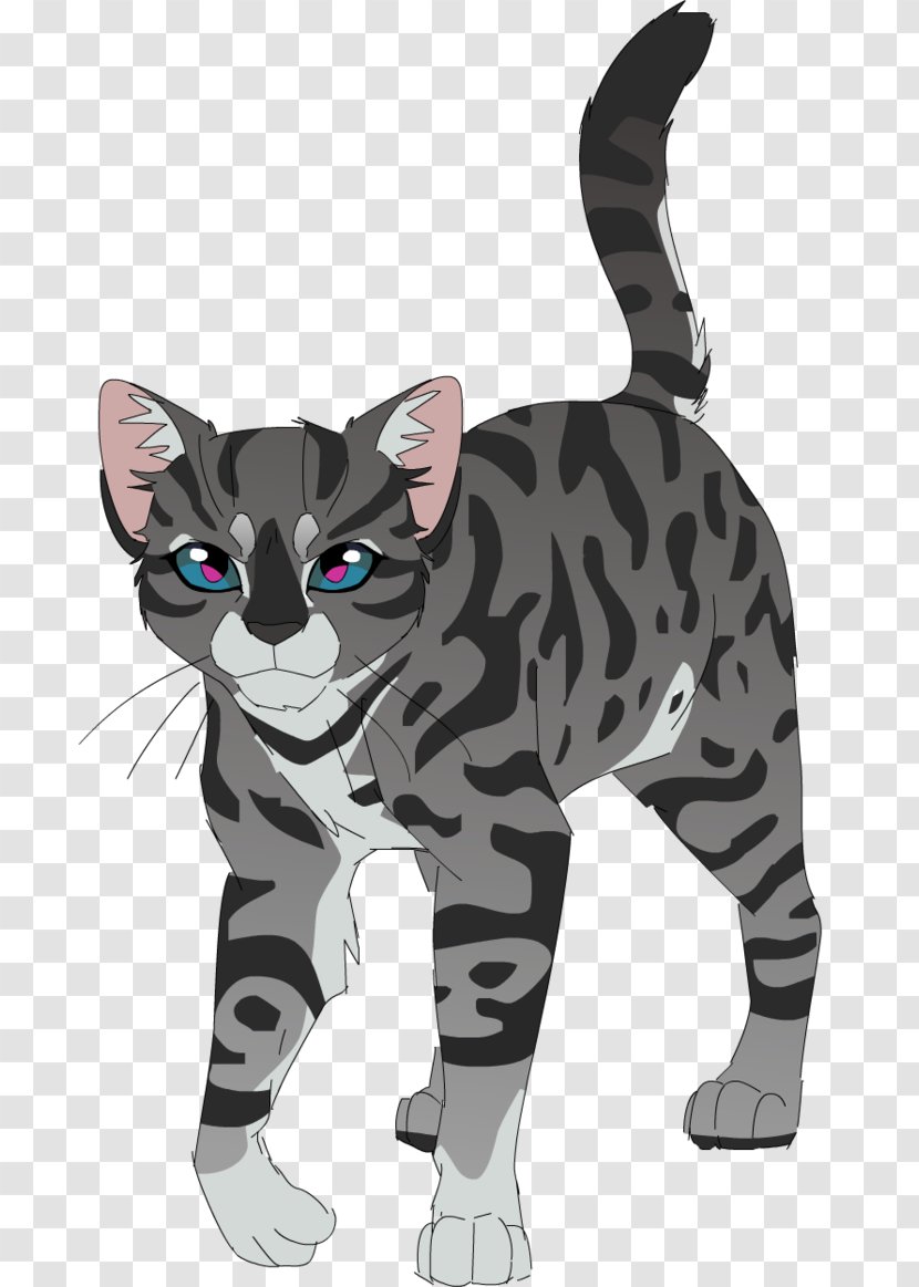 Whiskers Kitten Tabby Cat Domestic Short-haired - Warriors Transparent PNG