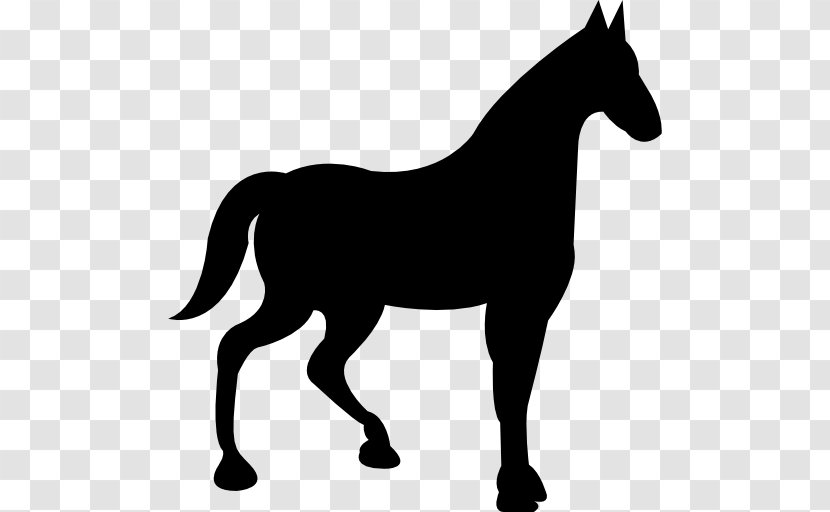Tennessee Walking Horse American Quarter Jinete Jockey Equestrian - Race Transparent PNG