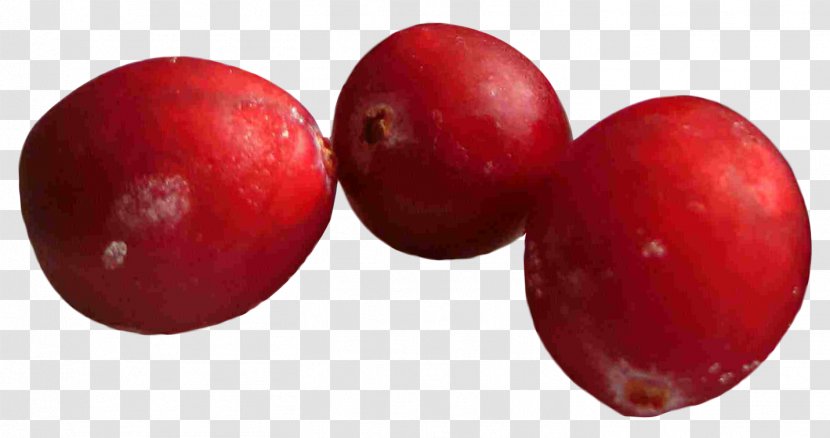 Cranberry Frutti Di Bosco - Sauce Transparent PNG