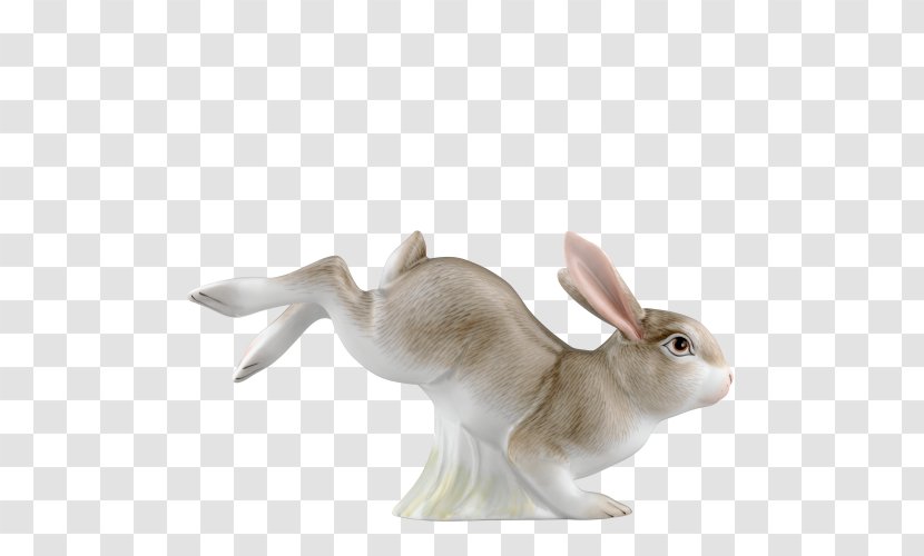 Domestic Rabbit Fürstenberg China Hare - Fauna - Hase Transparent PNG