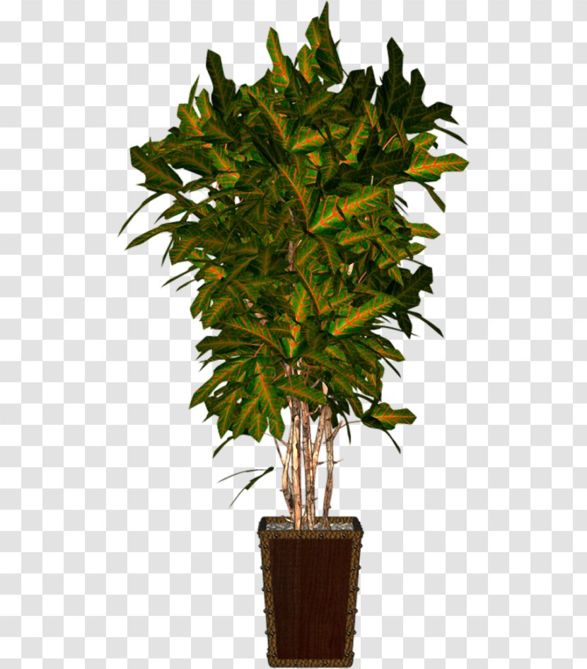 Flowerpot Plant Clip Art - Branch Transparent PNG