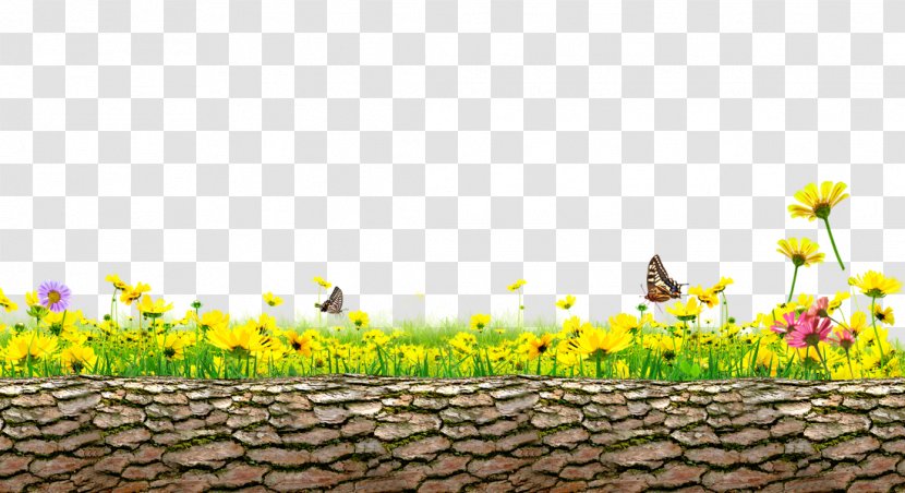 Trunks Daisy Background Material - Tree - Sunflower Transparent PNG
