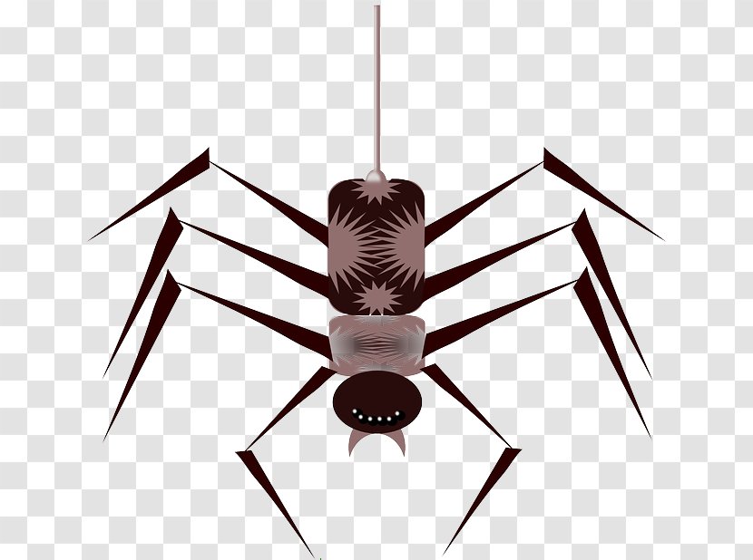 Spider Web Cartoon Clip Art - Bug Transparent PNG