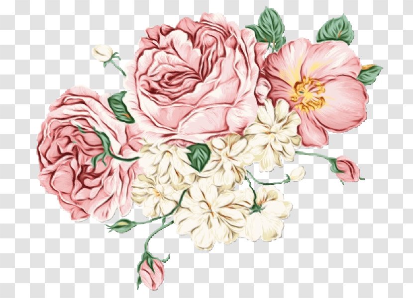 Watercolor Flower Background - Bouquet - Prickly Rose Camellia Transparent PNG
