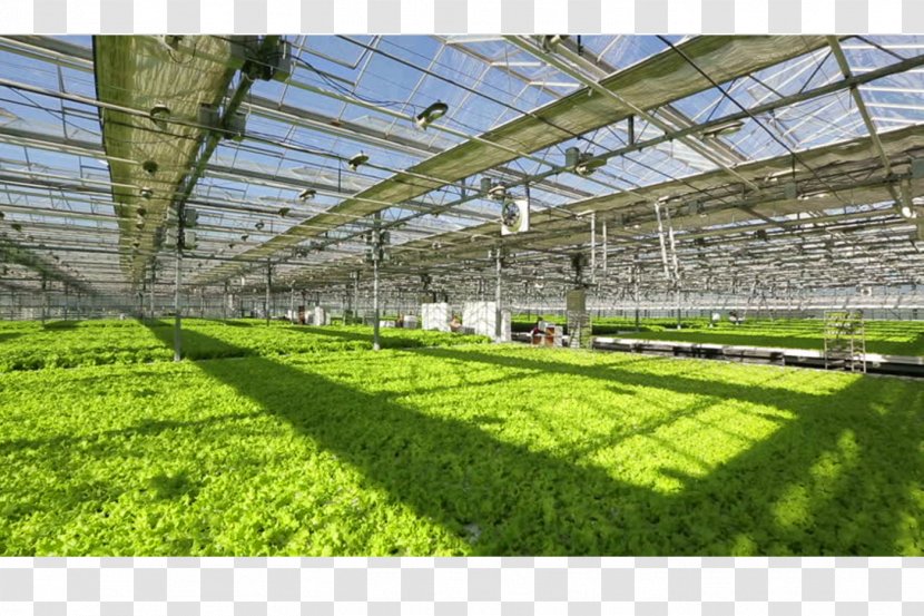 Greenhouse Daylighting Building Roof Industry - Stock Footage Transparent PNG