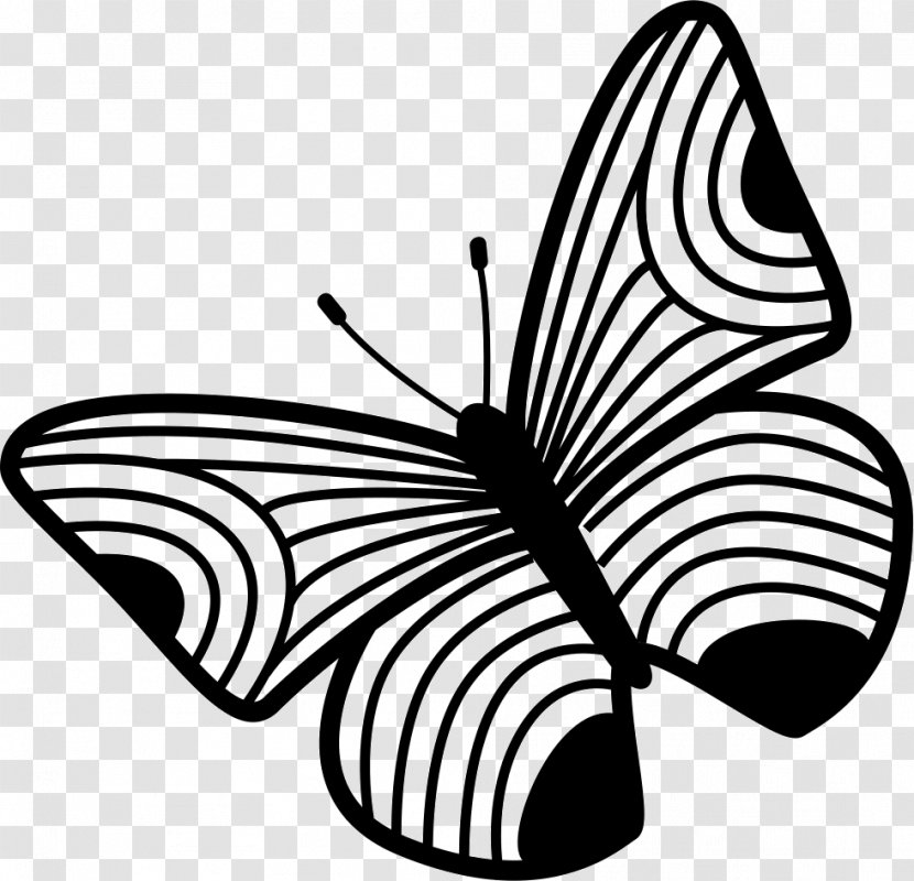 Butterfly - Artwork - Flower Transparent PNG