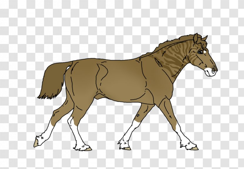 Mule Horse Foal Pony Stallion Transparent PNG