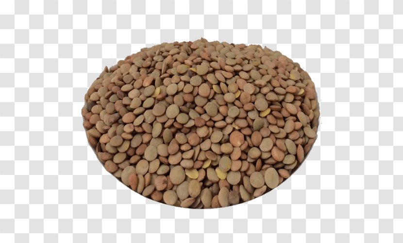 Nut Lentil Seed Commodity - Sementes Transparent PNG