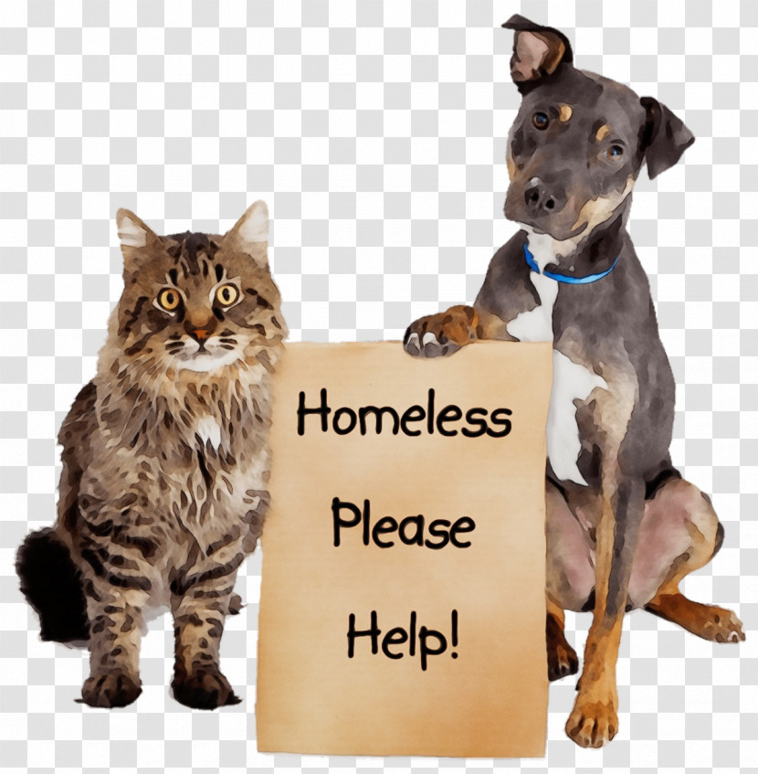 Dog Cat Animal Shelter Pet Adoption Animal Rescue Group Transparent PNG