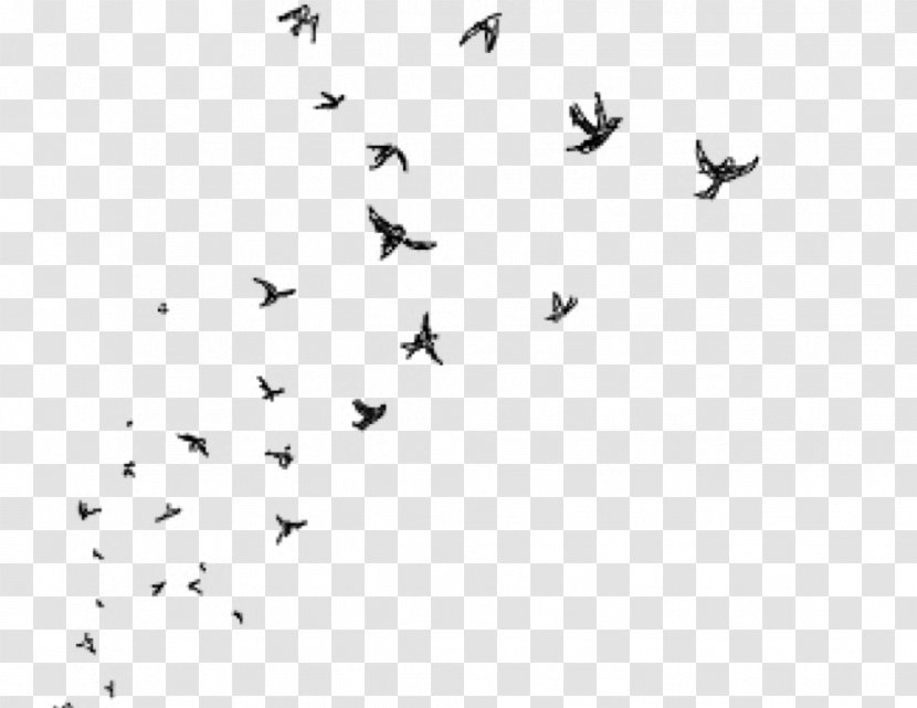 PicsArt Photo Studio Drawing Clip Art - Monochrome - Flock Birds Transparent PNG