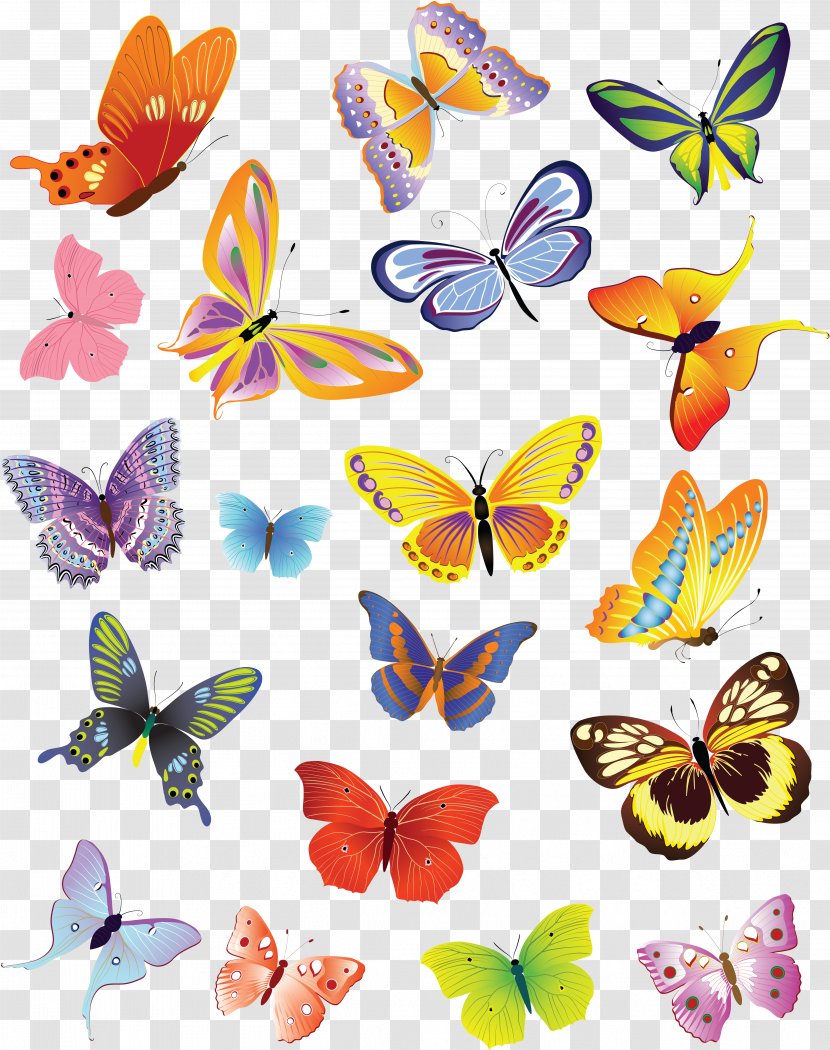 Butterfly Drawing Clip Art - Artwork - Purple Transparent PNG