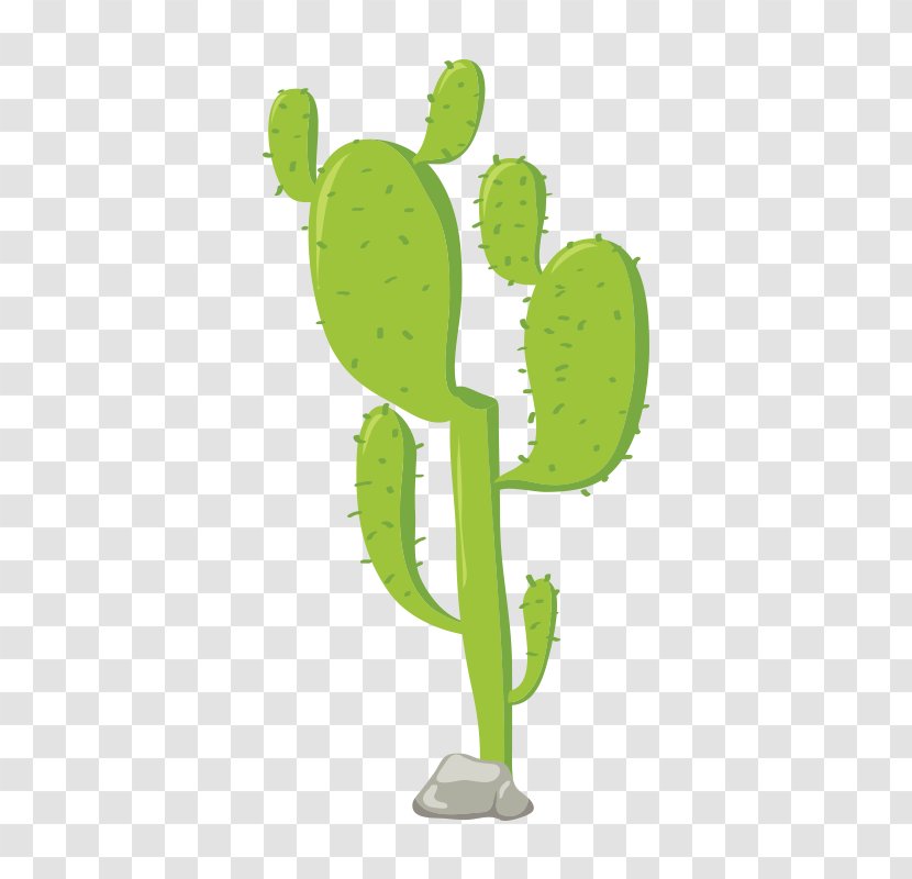 Cactaceae Euclidean Vector - Nopal - Cactus Transparent PNG