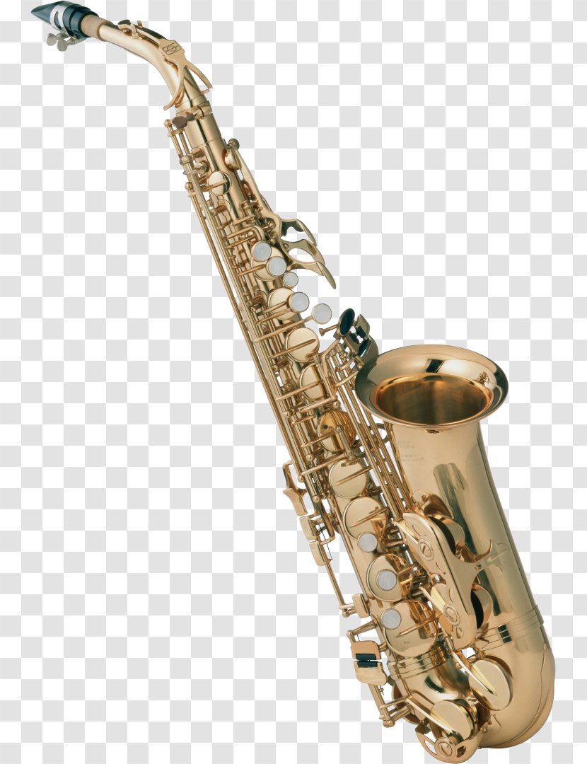 Alto Saxophone Trumpet Clip Art - Cartoon Transparent PNG