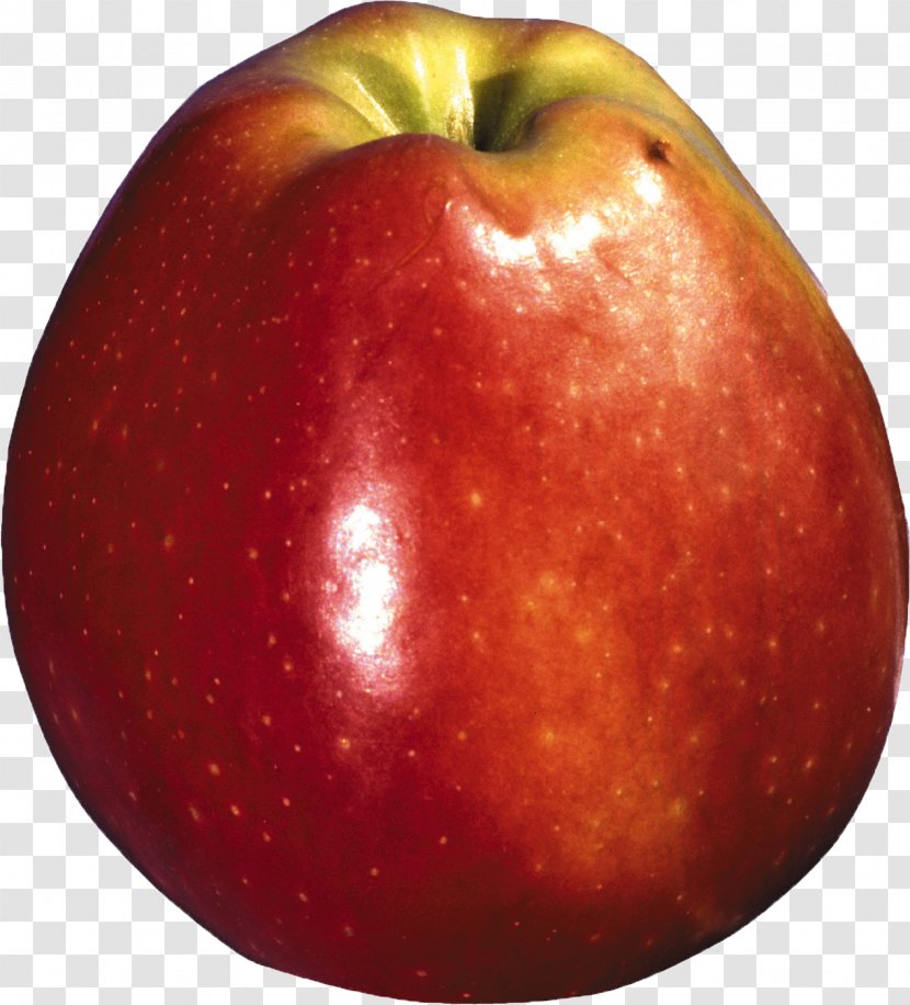 Apple Accessory Fruit Windows Thumbnail Cache - Natural Foods Transparent PNG
