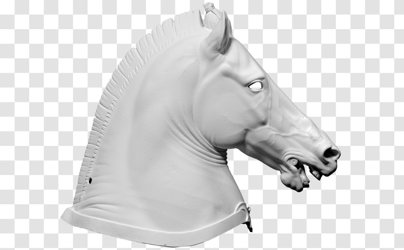 Horse Halter 3D Computer Graphics Wavefront .obj File Scanner - Mane Transparent PNG