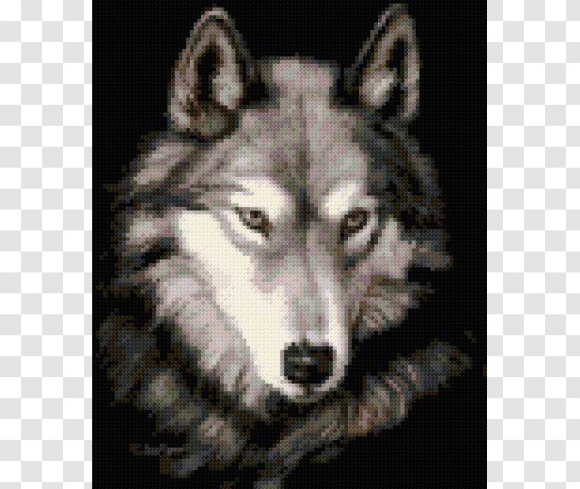 Gray Wolf Animation She Transparent PNG