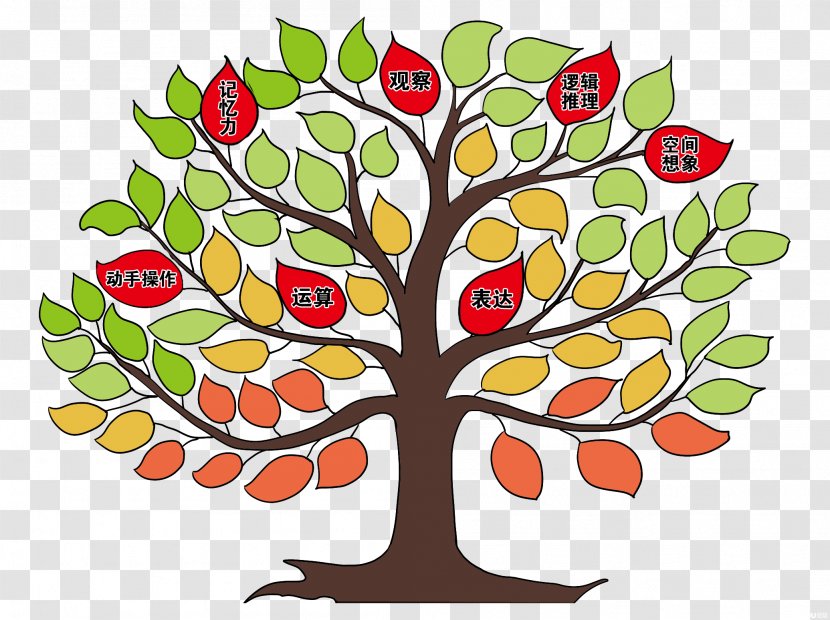 Communist Party Of China Beijing Clip Art Mathematics - Woody Plant - Floral Design Transparent PNG