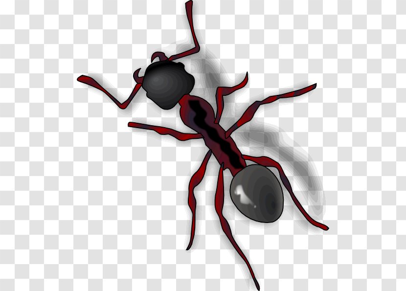 Ant Clip Art Insect GIF - Arthropod Transparent PNG