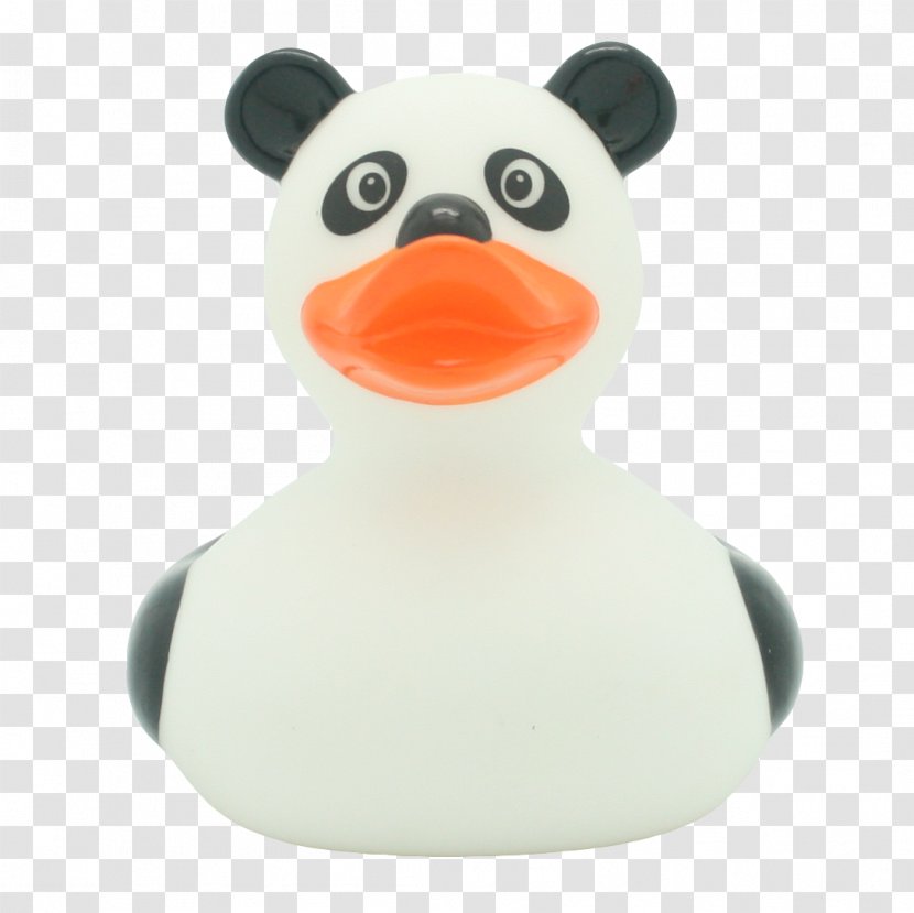 Rubber Duck Amazonetta Gum Toy - Penguin Transparent PNG