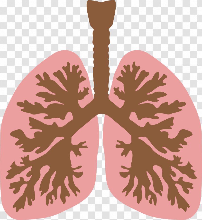Lung Clip Art - Frame - Lungs Transparent PNG