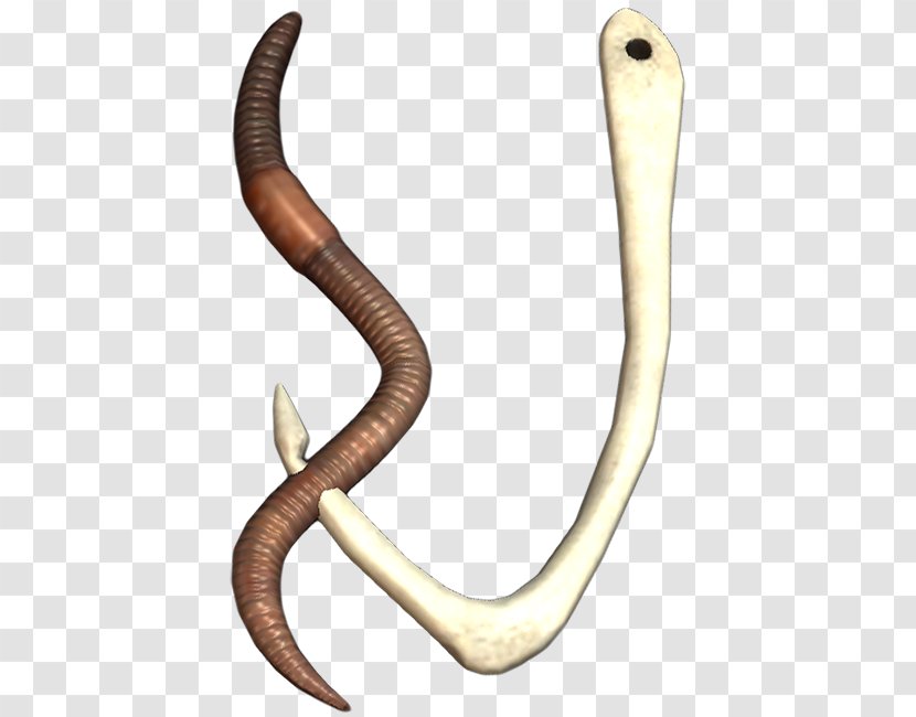 Reptile Jaw - Horn Transparent PNG
