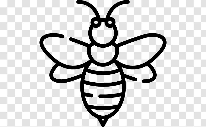 Western Honey Bee Insect Clip Art - Pollinator Transparent PNG